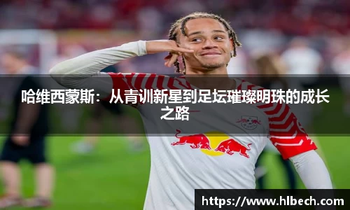 星空综合官网